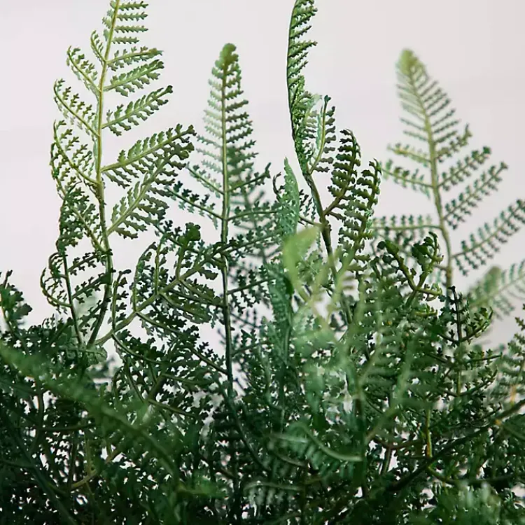 Best Fern Arrangement in Textured Glass Vase Arrangements & Greenery