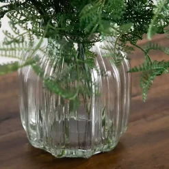Best Fern Arrangement in Textured Glass Vase Arrangements & Greenery