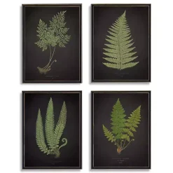 Kirklands Home Framed Art|Fern Framed Art Prints, Set of 4