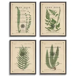 Kirklands Home Framed Art|Fern Illustrations Framed Art Prints, Set of 4