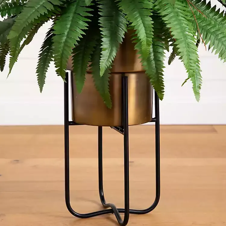 New Fern in Gold Metal Planter Arrangements & Greenery