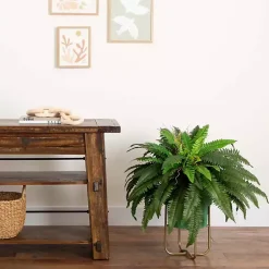 New Fern in Gold Metal Planter Arrangements & Greenery