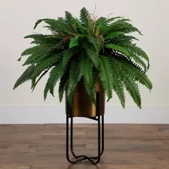 New Fern in Gold Metal Planter Arrangements & Greenery