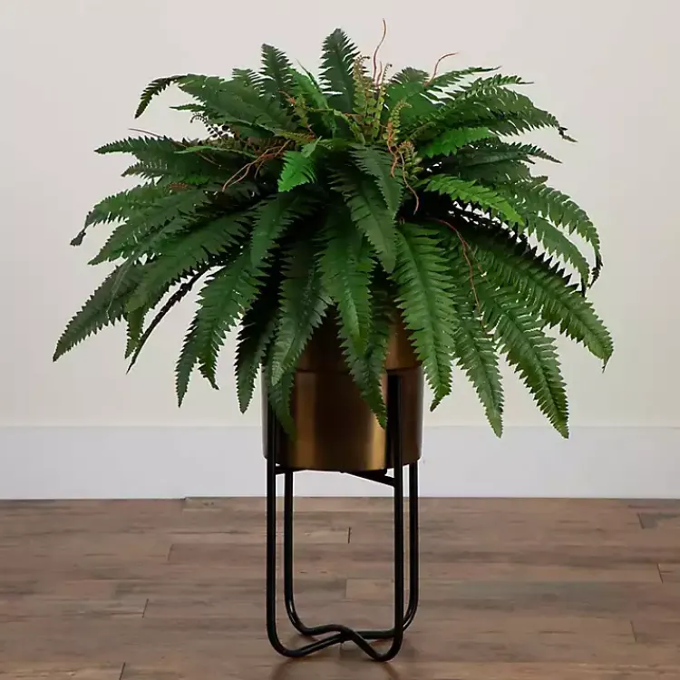 New Fern in Gold Metal Planter Arrangements & Greenery
