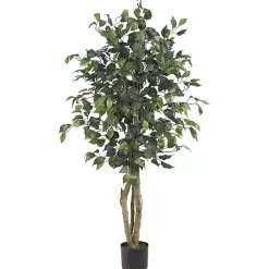 Outlet Ficus Silk Tree, 4 ft. Trees & Topiaries