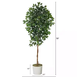 Best Ficus Tree with Moss in White Tin Planter Trees & Topiaries
