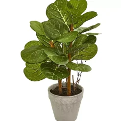 Hot Fiddle Leaf Plant Arrangement, 22 in. Trees & Topiaries