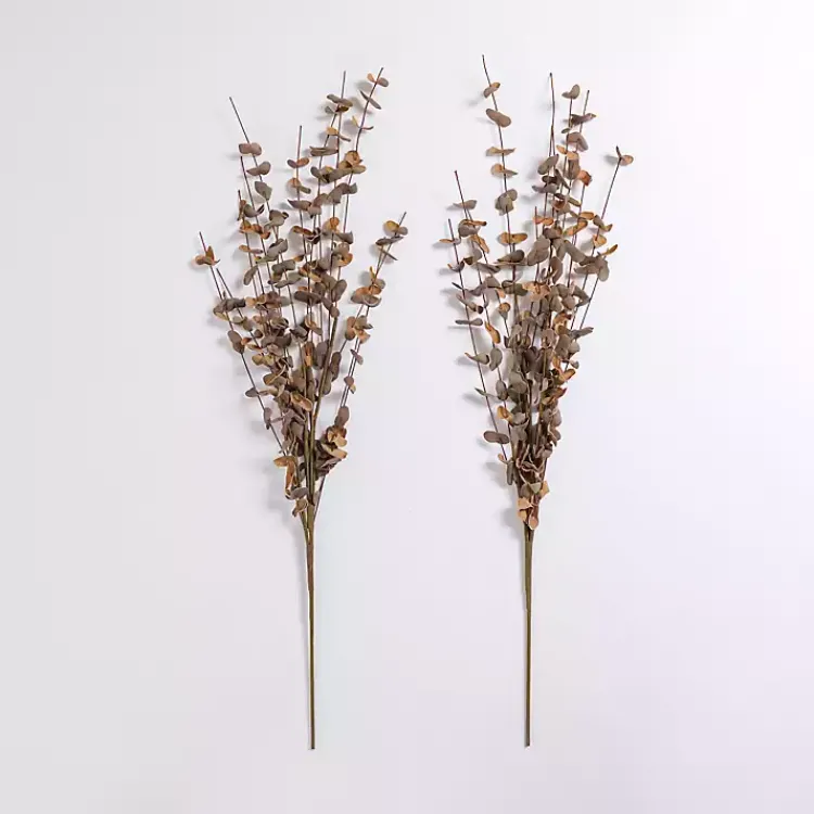 Outlet Foam Eucalyptus Sprays, Set of 2 Stems & Bouquets