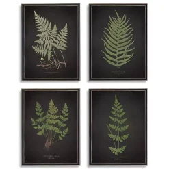 Kirklands Home Framed Art|Four Ferns Framed Art Prints, Set of 4