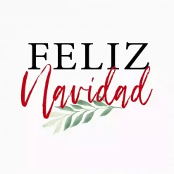 Online Framed Feliz Navidad Christmas Canvas Art Print Christmas Art & Wall Decor