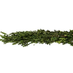 New Fresh Cut Boxwood Christmas Garland Fresh Christmas Wreaths & Greenery