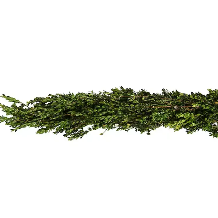 New Fresh Cut Boxwood Christmas Garland Fresh Christmas Wreaths & Greenery