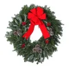 New Fresh Cut Fraser Fir Blue Ridge Mountain Wreath Fresh Christmas Wreaths & Greenery
