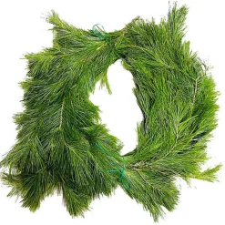 Best Fresh Cut White Pine Christmas Garland Fresh Christmas Wreaths & Greenery