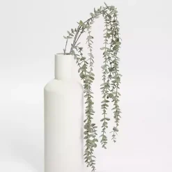 Frosted Draping Eucalyptus Stem Stems & Bouquets