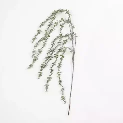 Frosted Draping Eucalyptus Stem Stems & Bouquets