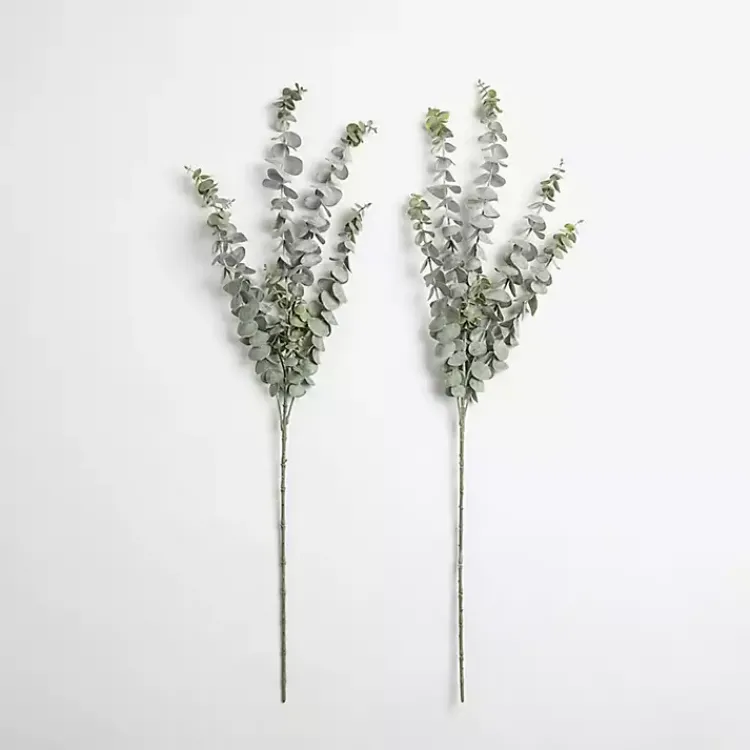 Sale Frosted Eucalyptus Stems, Set of 2 Stems & Bouquets