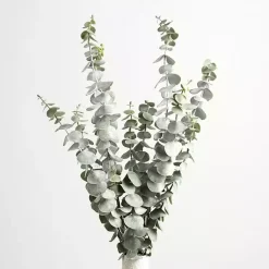 Sale Frosted Eucalyptus Stems, Set of 2 Stems & Bouquets