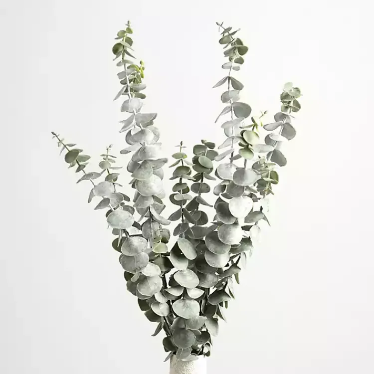 Sale Frosted Eucalyptus Stems, Set of 2 Stems & Bouquets