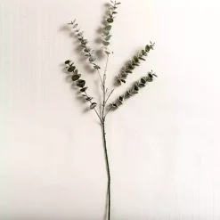 Best Frosted Spiral Eucalyptus Stem Christmas Arrangements & Garland