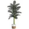 Discount Golden Cane Palm Tree in Woven Planter, 8 ft. Trees & Topiaries