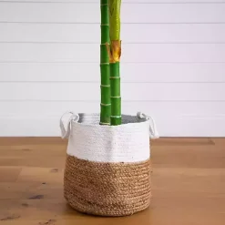 Discount Golden Cane Palm Tree in Woven Planter, 8 ft. Trees & Topiaries