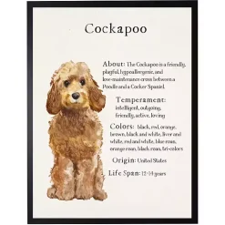 Kirklands Home Wall Quotes & Signs|Golden Cockapoo Facts Framed Wall Plaque