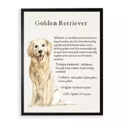 Kirklands Home Wall Quotes & Signs|Golden Retriever Boxer Facts Framed Wall Plaque