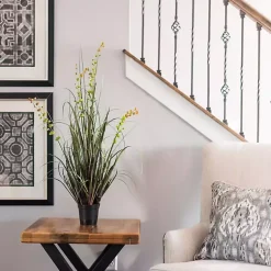 Grass and Eucalyptus Potted Plant Trees & Topiaries