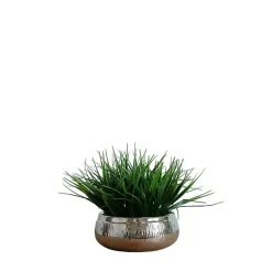 Sale Grass Arrangement in Silver Ceramic Bowl Arrangements & Greenery