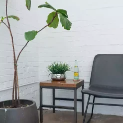 Sale Grass Arrangement in Silver Ceramic Bowl Arrangements & Greenery