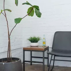 New Grass Arrangement in White Ceramic Bowl Arrangements & Greenery
