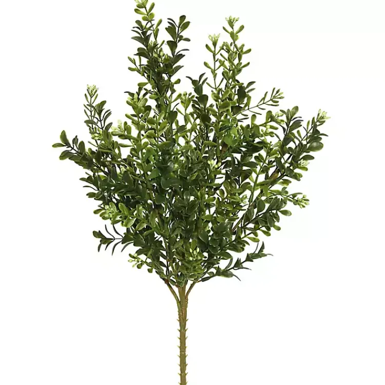 Sale Boxwood Bush Stems, Set of 3 Stems & Bouquets