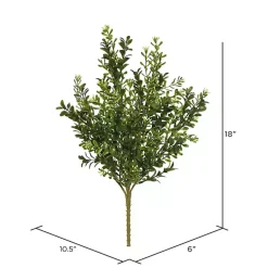 Sale Boxwood Bush Stems, Set of 3 Stems & Bouquets