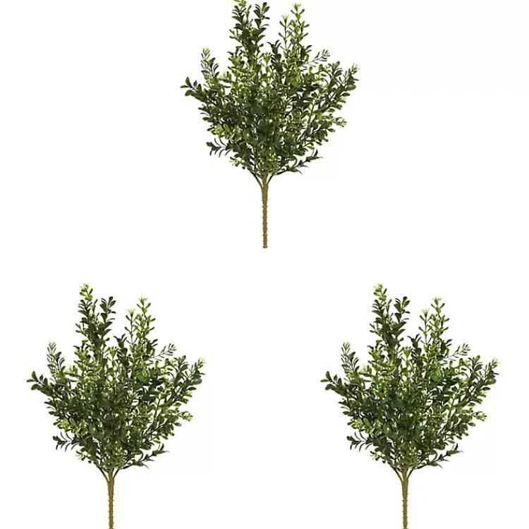 Sale Boxwood Bush Stems, Set of 3 Stems & Bouquets