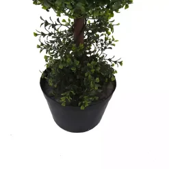 Green Double Ball Boxwood Potted Topiary Trees & Topiaries