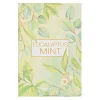 Outlet Green Eucalyptus Mint Sachet Sachets