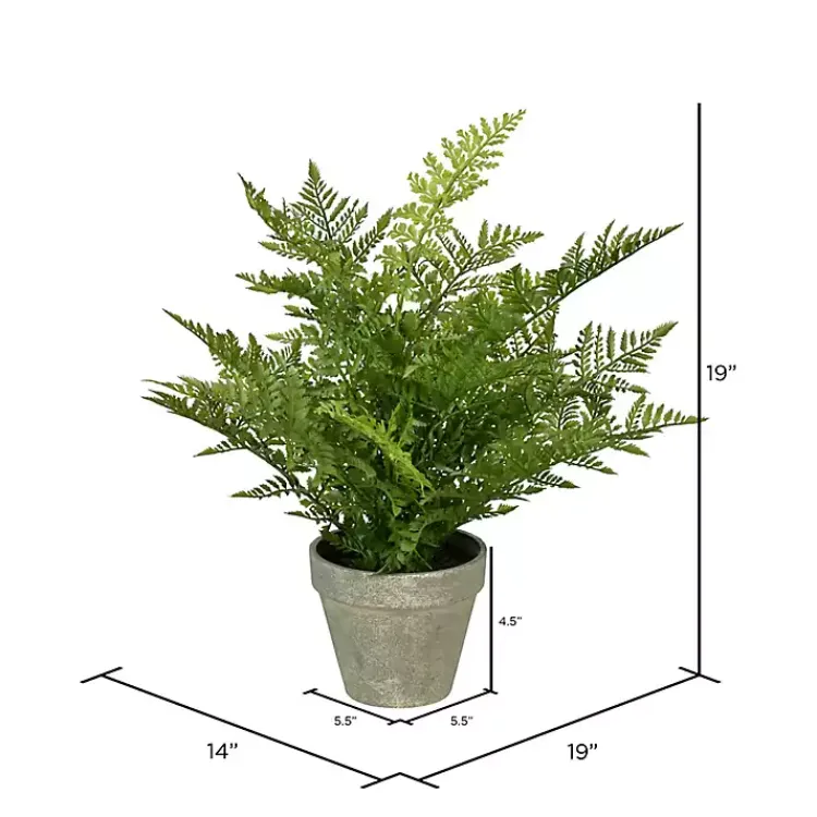 Discount Fern Arrangement in Paper Pot Arrangements & Greenery
