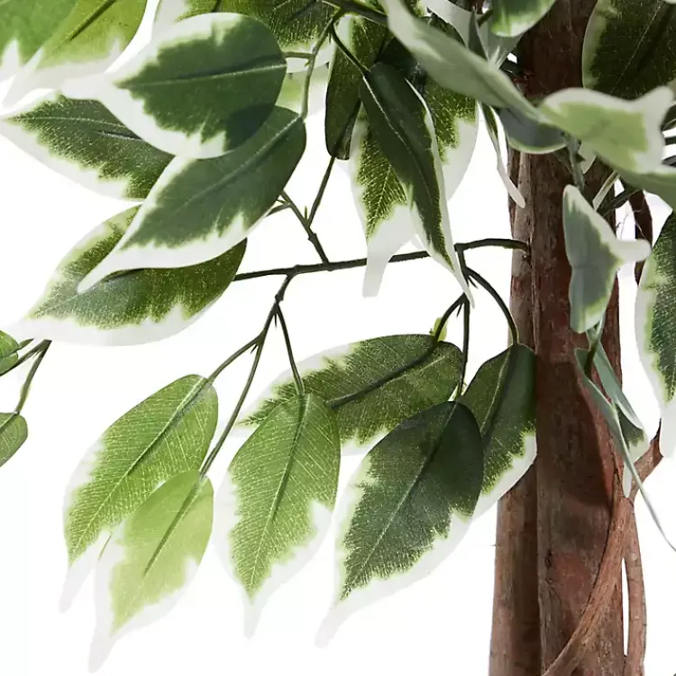 Discount Green Ficus Potted Tree, 73 in. Trees & Topiaries