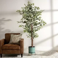 Discount Green Ficus Potted Tree, 73 in. Trees & Topiaries