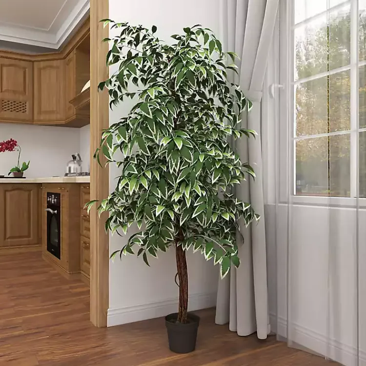 Discount Green Ficus Potted Tree, 73 in. Trees & Topiaries