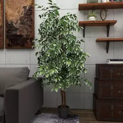 Discount Green Ficus Potted Tree, 73 in. Trees & Topiaries