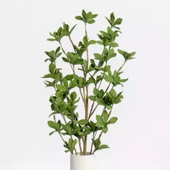 Outlet Leaves Stems, Set of 3 Stems & Bouquets