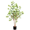 Green Maple Tree in Black Planter Trees & Topiaries