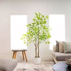 Discount Green Maple Tree in White Planter Trees & Topiaries