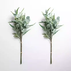 Outlet Mixed Eucalyptus Bouquets, Set of 2 Stems & Bouquets