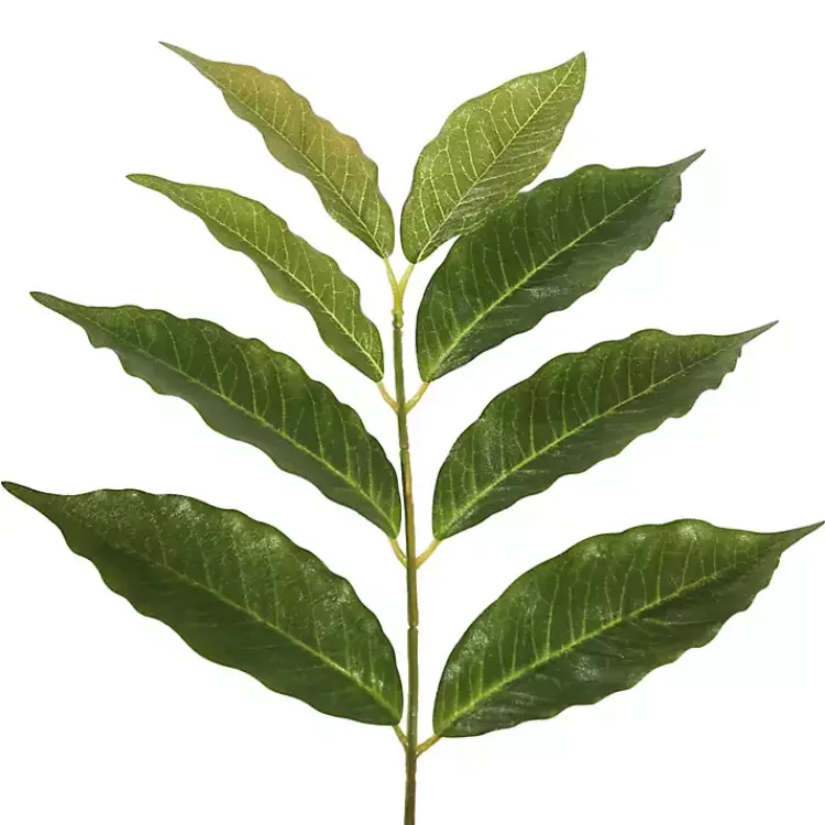 New Green Nandina Potted Tree, 4 ft. Trees & Topiaries