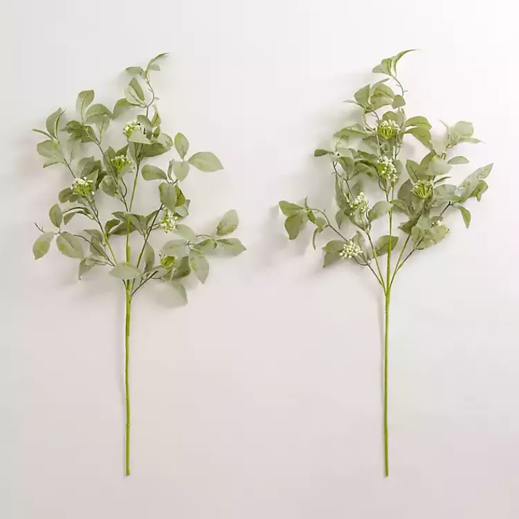 Clearance ery and Flower Bud Stems, Set of 2 Stems & Bouquets