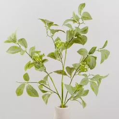 Clearance ery and Flower Bud Stems, Set of 2 Stems & Bouquets