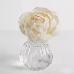 Discount Hello Gorgeous Flower Petal Diffuser Set Home Fragrance